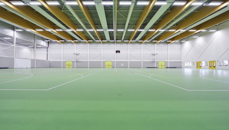 Pulastic Indoor Cricket Sports Flooring